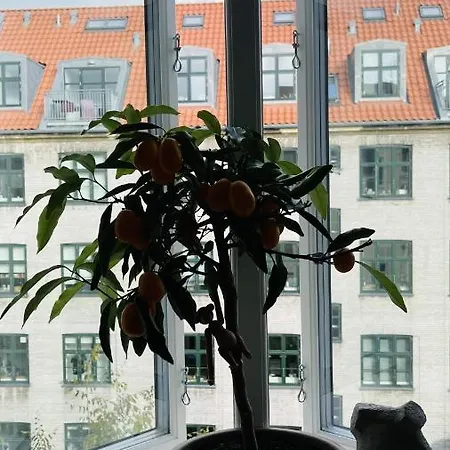 Apartmentincopenhagen 1511 Copenhagen